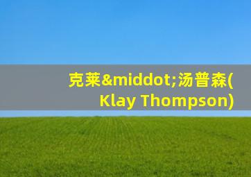 克莱·汤普森(Klay Thompson)